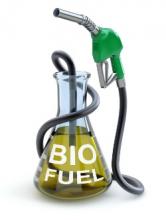 Superéthanol-E85 : une opportunité pour les entreprises ?